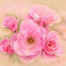 Cross stitch pattern: #184657