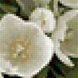 Preview of cross stitch pattern: #185219