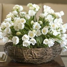 Cross stitch pattern: #185219