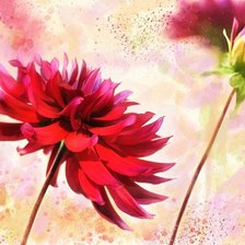 Cross stitch pattern: #185861