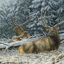 Cross stitch pattern: #186026