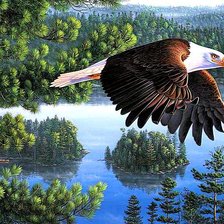 Cross stitch pattern: #186992