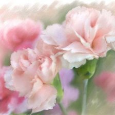 Cross stitch pattern: #187078