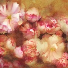 Cross stitch pattern: #187081