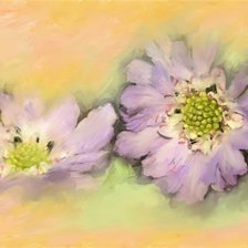 Cross stitch pattern: #187084