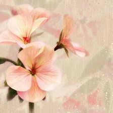 Cross stitch pattern: #187085