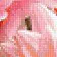 Preview of cross stitch pattern: #188003