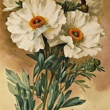 Cross stitch pattern: #188919