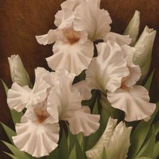 Cross stitch pattern: #189085