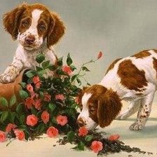 Cross stitch pattern: #189504