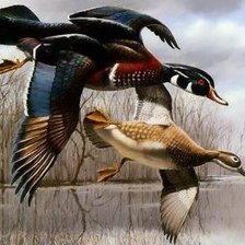 Cross stitch pattern: #189537