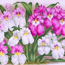 Cross stitch pattern: #189952