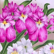 Cross stitch pattern: #189959