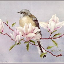 Cross stitch pattern: #190043