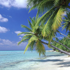 Cross stitch pattern: #190102