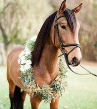Cross stitch pattern: #190600
