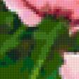 Preview of cross stitch pattern: #190702
