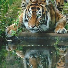 Cross stitch pattern: #190728