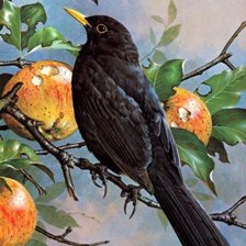 Cross stitch pattern: #191423