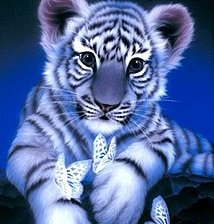 Cross stitch pattern: #197927