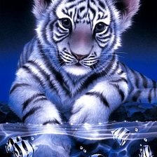 Cross stitch pattern: #197935