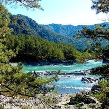 Cross stitch pattern: #198127