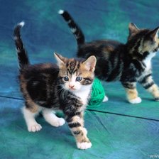 Cross stitch pattern: #198922