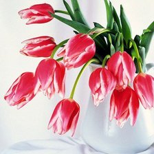 Cross stitch pattern: #200502