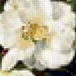 Preview of cross stitch pattern: #201785