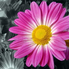 Cross stitch pattern: #202222