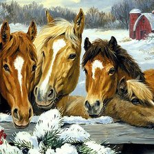 Cross stitch pattern: #202233