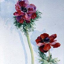 Cross stitch pattern: #202616