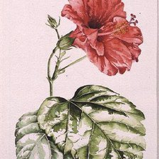 Cross stitch pattern: #202640