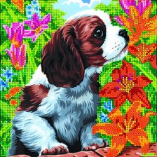 Cross stitch pattern: #202757