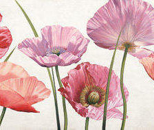 Cross stitch pattern: #203898