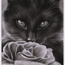 Cross stitch pattern: #203938