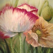 Cross stitch pattern: #203992