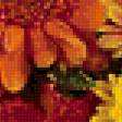 Preview of cross stitch pattern: #204044