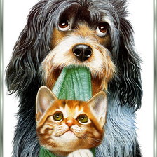 Cross stitch pattern: #204072