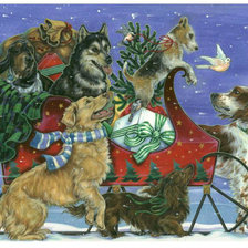 Cross stitch pattern: #204307