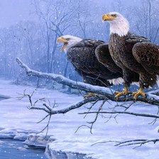 Cross stitch pattern: #204418