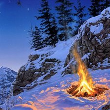 Cross stitch pattern: #204422