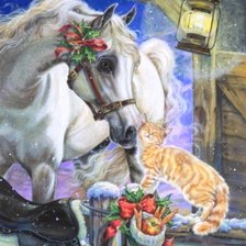 Cross stitch pattern: #204504