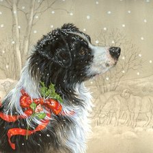 Cross stitch pattern: #204507