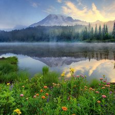 Cross stitch pattern: #204617