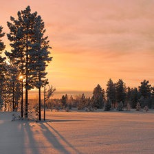 Cross stitch pattern: #204618