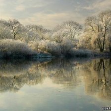 Cross stitch pattern: #204626