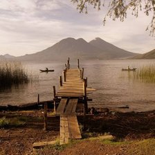 Cross stitch pattern: #204629