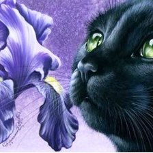 Cross stitch pattern: #205165