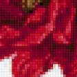 Preview of cross stitch pattern: #205231